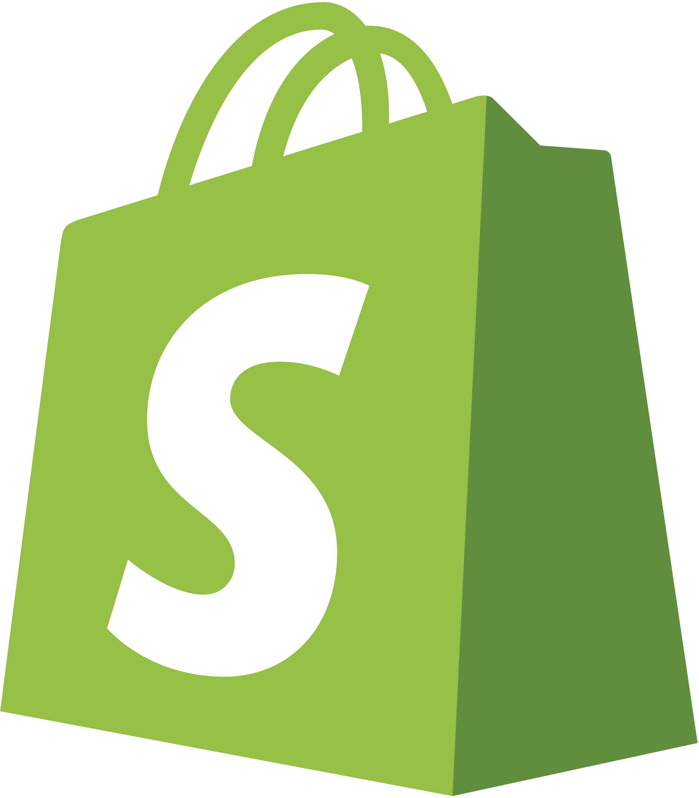 Shopify - Platforms & RPA